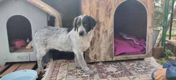 💕“Emma Cerca Il Suo Lieto Fine: Regala Amore A Chi Ne Ha Tanto Da Dare”🏠❤️